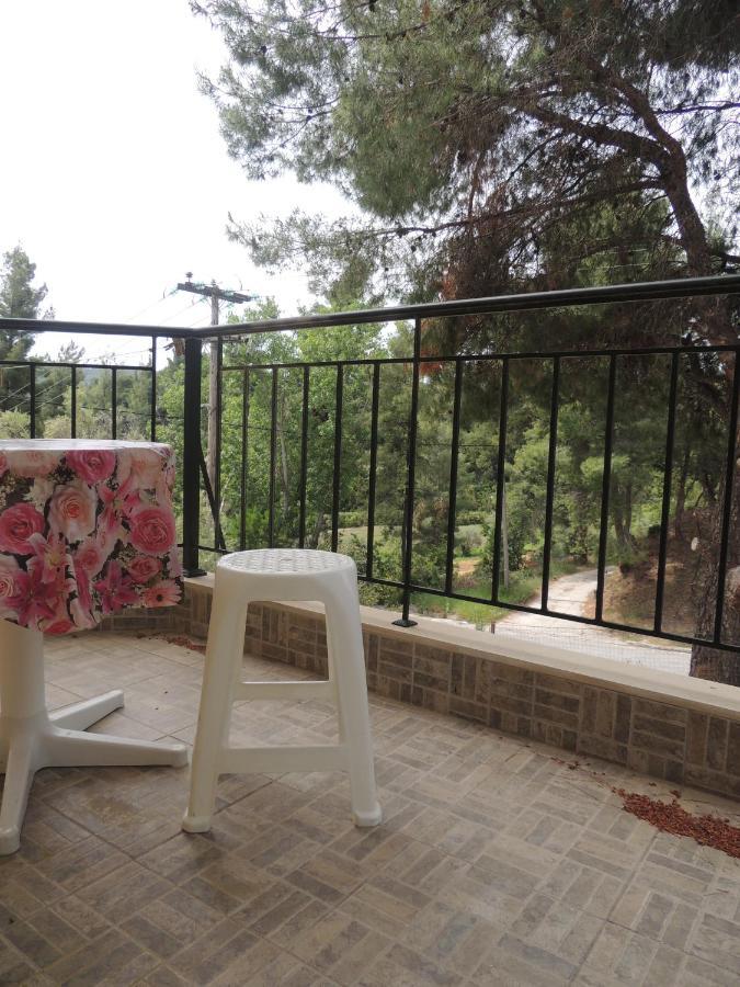 Villa Platskos vol 2 Kriopigi Exterior foto